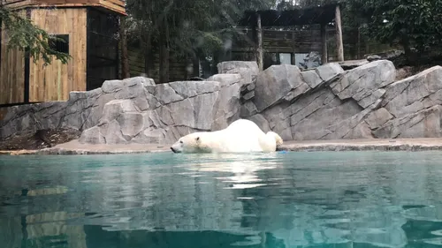 Lancement de la nouvelle saison au Parc Zoologique d’Amnéville