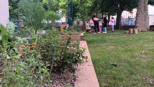 On respire enfin dans la cour végétalisée de l’école Le Graouilly !