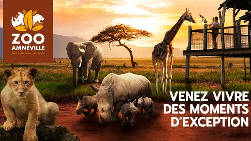 Cette semaine, le Wake Up vous emmène au Zoo d’Amnéville