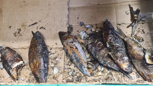 Consommation : des contrôles surprises dans des magasins de Metz