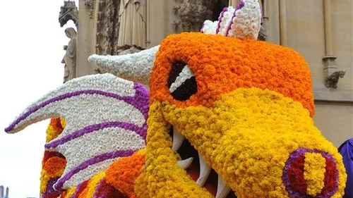 Et si on visitait la Moselle ? 