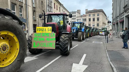 Meurthe-et-Moselle : les agriculteurs attendus à Nancy ce mardi