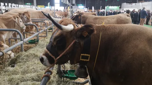 Agrimax : le salon de l’Agriculture ouvre ses portes ce mercredi à...