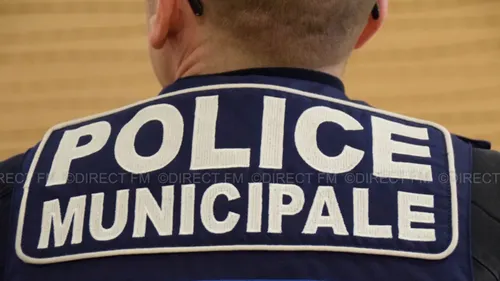 Fête de la musique : plusieurs cas de piqûres signalés en Lorraine 