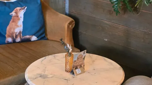 Fox Coffee : l’établissement messin participe au concours du...