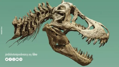 Jusqu’au 6 novembre : des dinosaures au Jardin Botanique Jean-Marie...
