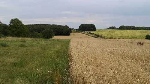 Sécheresse : quelles sont les restrictions mises en place dans une...