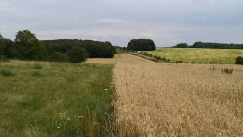 Meurthe-et-Moselle : la quasi-totalité du département passe en...
