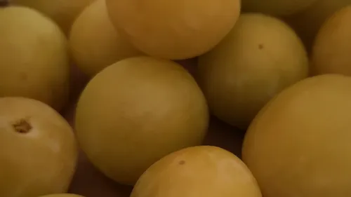 Voici le programme des Fêtes de la Mirabelle 2023