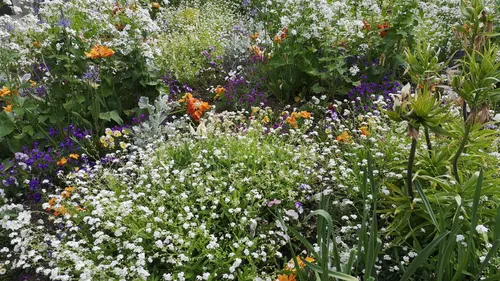Metz : une nouvelle exposition au jardin botanique pendant la...