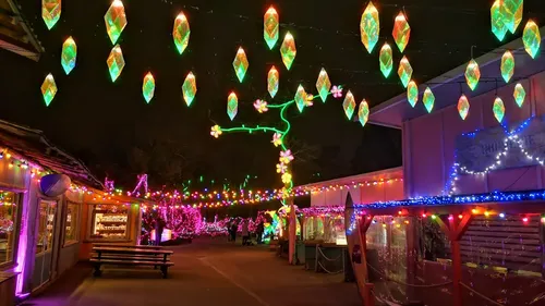 Bilan 2023 : l’année lumineuse du Zoo d’Amnéville