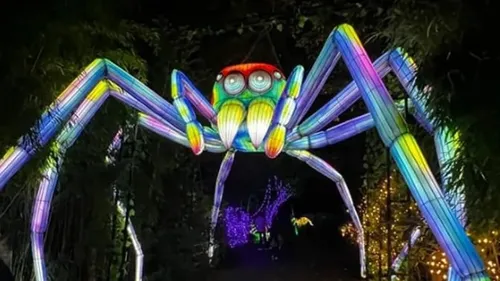 LUMINESCENCES : « Un parcours encore plus fou que l’année dernière »