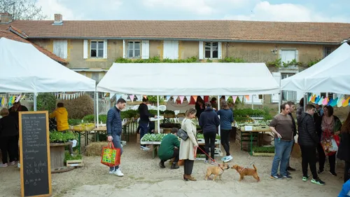 Ferme de Domangeville : une vente de plants organisée le 1er mai 