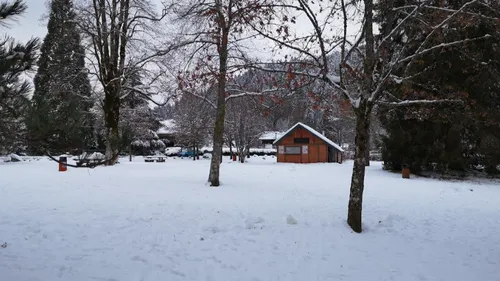 Météo : la neige enfin de retour sur le massif vosgien