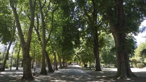 Vigilance jaune au vent : Nancy ferme ses parcs