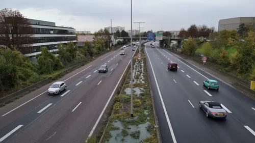 Battues de sangliers en lorraine : une partie de l’A31 fermée ce...