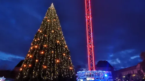 Metz : Quand sera illuminé le sapin place de la République ? 
