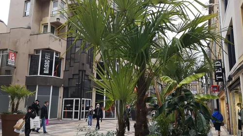 Travaux : Les rues Serpenoise et Ladoucette en chantier en 2023