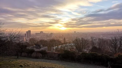 Nancy : des montons ambassadeurs de l’éco pâturage