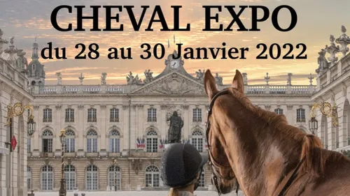 Nancy : le salon du cheval fait son retour au Parc des Expositions