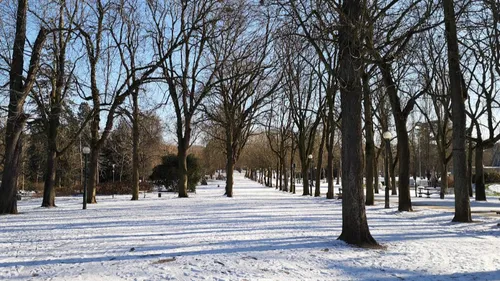 Météo : le froid va faire son retour en Lorraine.