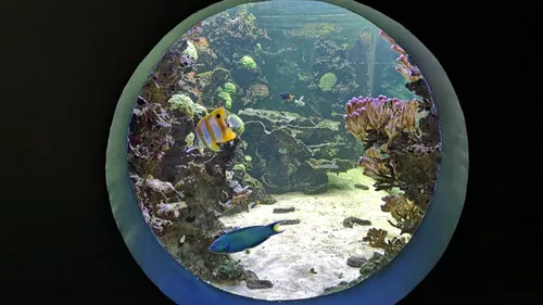 Des animaux qui font peur et la folie de l’Amazonie au Muséum...