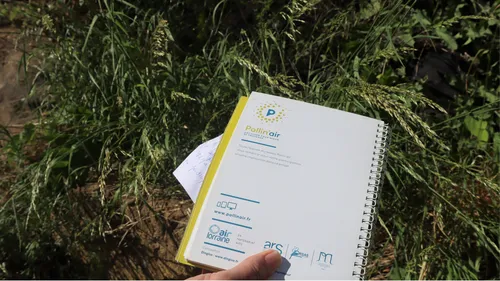 Face au pollen, les sentinelles de Pollin’air se mobilisent 