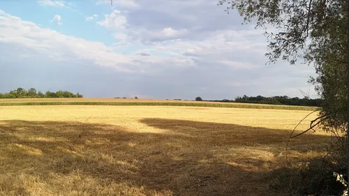Météo : alerte sécheresse renforcée en Meurthe-et-Moselle