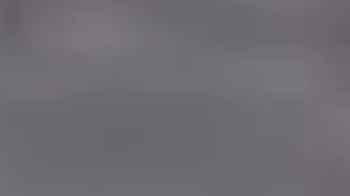 URGENCE ANIMAL AVEC L'ARPA 47 À BOÉ - Petit loup, Malinois de 2 ans...