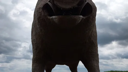 Woinic, le plus grand sanglier du monde en Ardennes !