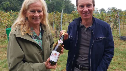 Récolte de la Ville de Mulhouse