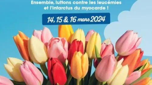Le retour de Tulipes à Cœur