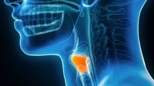 Santé : une greffe de larynx permet à une femme de recouvrer la parole