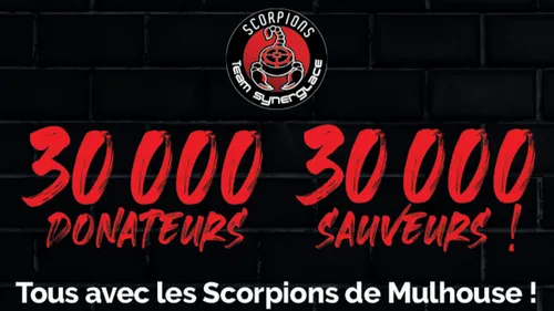 Une cagnotte pour sauver le hockey mulhousien