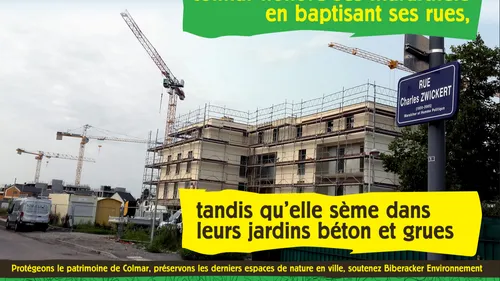 DU BETON DANS LES LEGUMES 