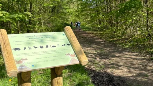 Reconnecter les enfants avec la nature à Strasbourg