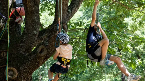 Deux journées dédiées à la préservation de la biodiversité auront...