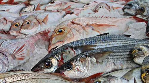 Le retour des crieurs au marché aux poissons de Hambourg