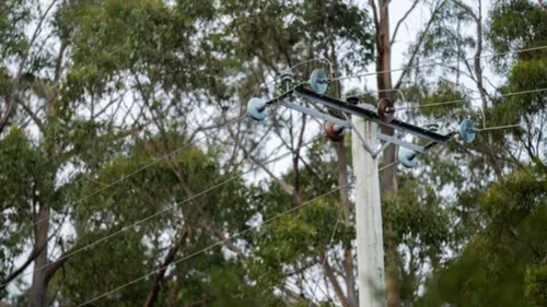 A Spechbach, un arbre tombe sur une ligne haute tension et prive de...