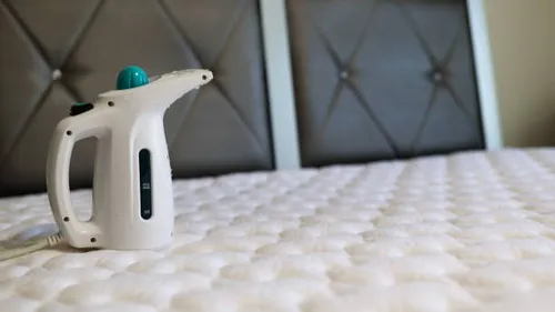 5/12/23 : Punaises de lit : l'ANSES alerte sur un insecticide