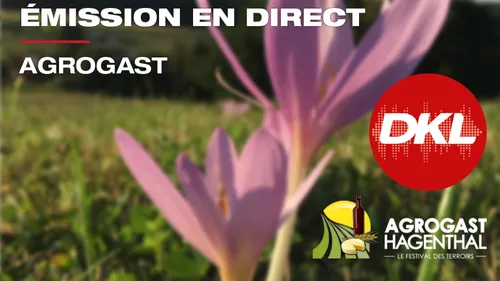 DKL en direct du festival des terroirs Agrogast à Hagenthal !