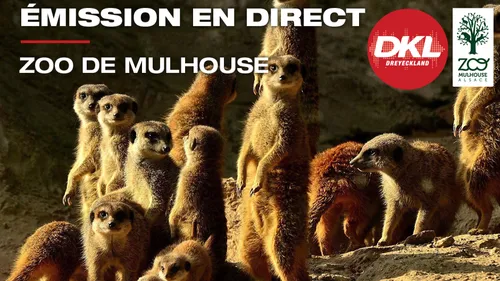DKL au Parc Zoologique et Botanique de Mulhouse !