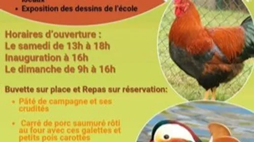 Exposition Avicole de Waldighoffen