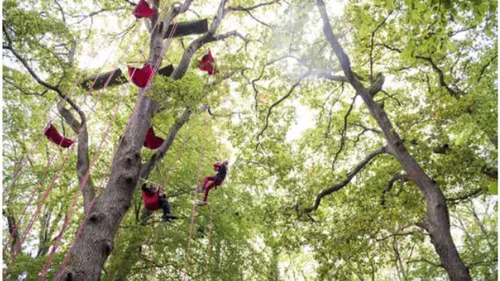 Rendez-vous au jardin de Kerguéhennec ce week-end