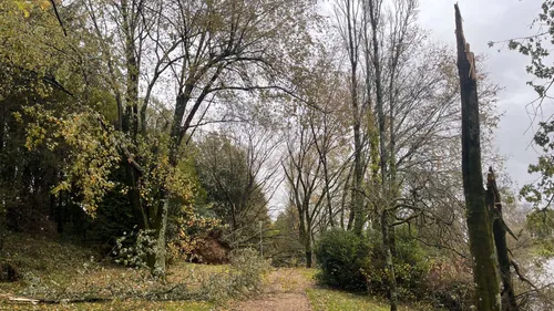 Tempête Ciarán : bilan une semaine après sur le centre Bretagne
