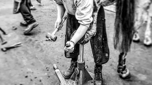 Maréchal(e)-ferrant(e), un vieux métier encore plein d'avenir