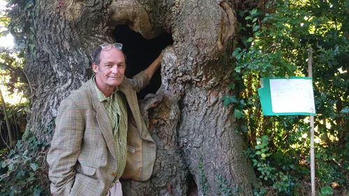 Fouesnant-Les Glénan: un médecin à la retraite se "re-tronfine"