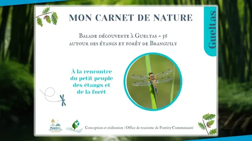Des carnets nature pour découvrir les environs des communes de Pontivy