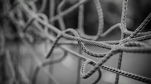 Football, rugby, volley et handball retrouvez les résultats du...