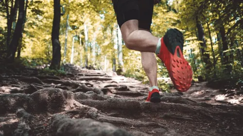 Ultra Trail des Monts d'Arrée : deux courses au programme le 6 mai...